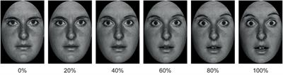 Alexithymia Is Related to the Need for More Emotional Intensity to Identify Static Fearful Facial Expressions